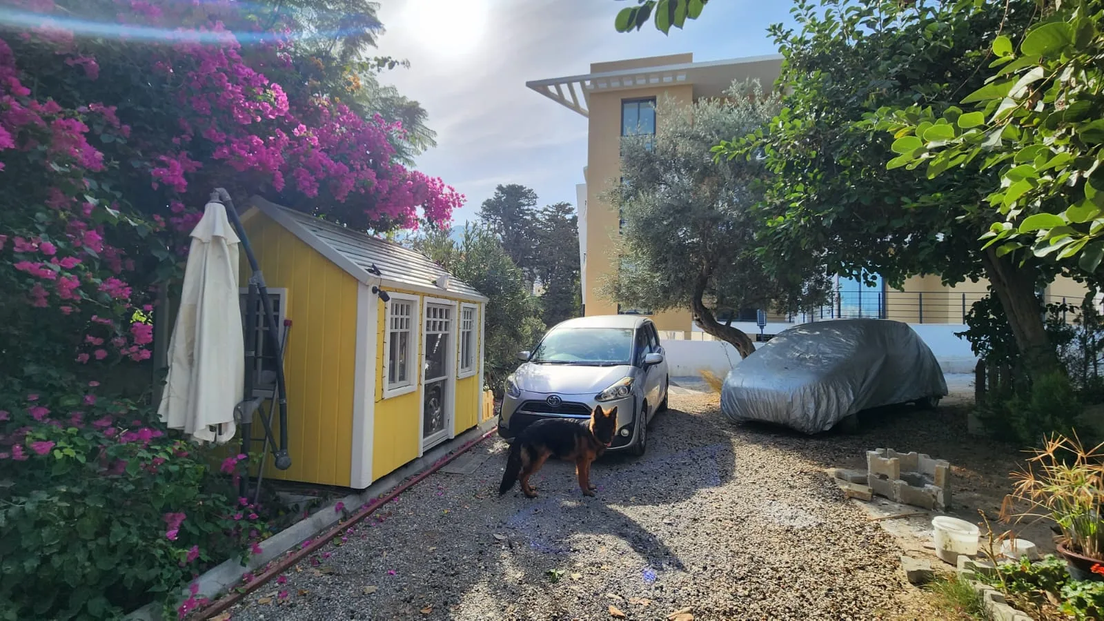 Möblierte 2+1-Erdgeschosswohnung mit Garten in Alsancak — £999/Monat — Chapter One Realty