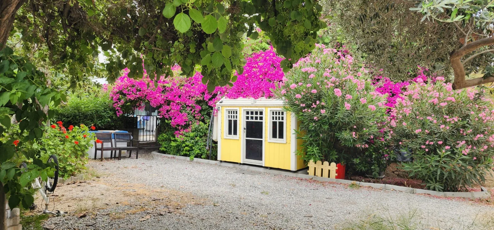 Möblierte 2+1-Erdgeschosswohnung mit Garten in Alsancak — £999/Monat — 4
