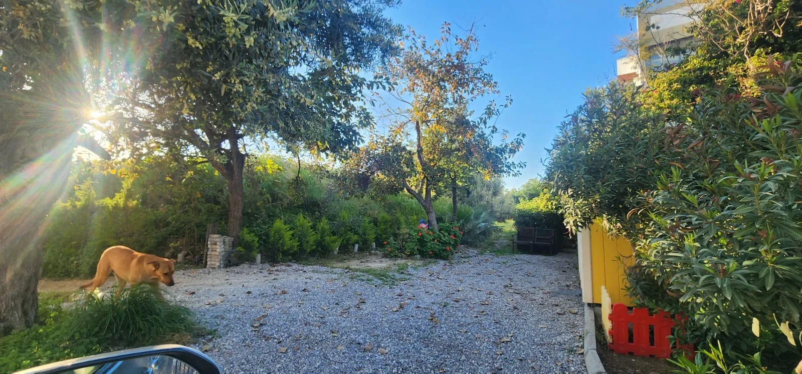Möblierte 2+1-Erdgeschosswohnung mit Garten in Alsancak — £999/Monat — 37